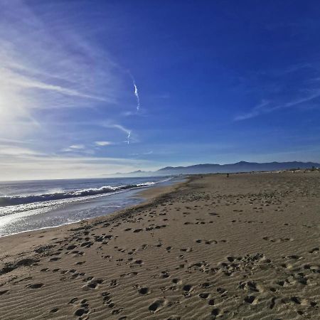 Appartement Climatise Vue Mer 208 Canet-en-Roussillon Bagian luar foto